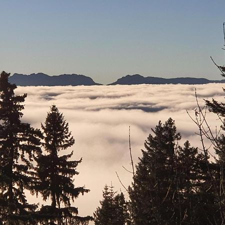 Chamrousse 1700 - Asters A03 Leilighet Eksteriør bilde