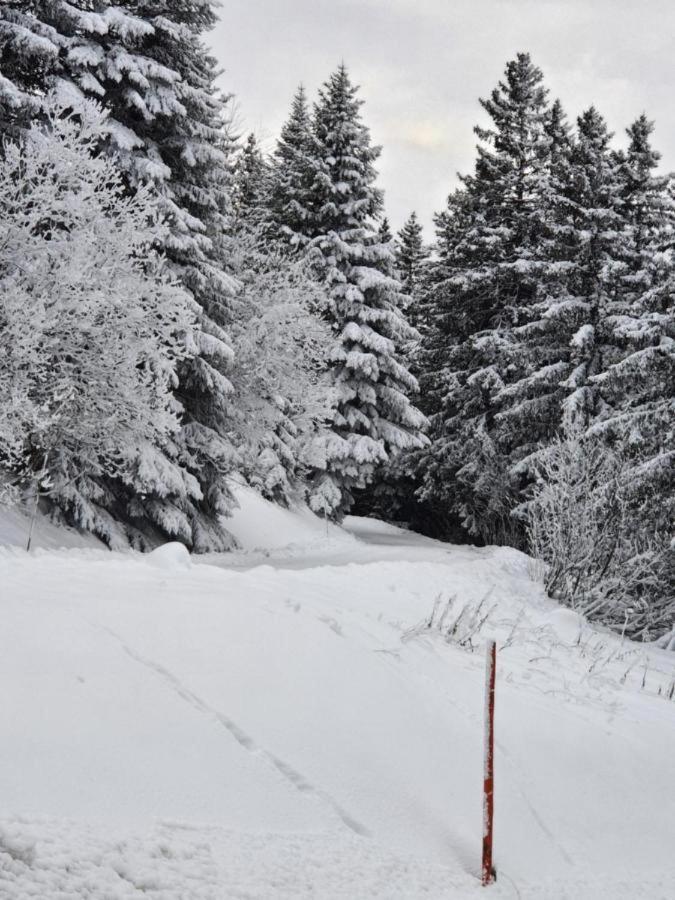 Chamrousse 1700 - Asters A03 Leilighet Eksteriør bilde